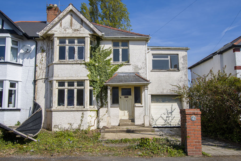Main Image